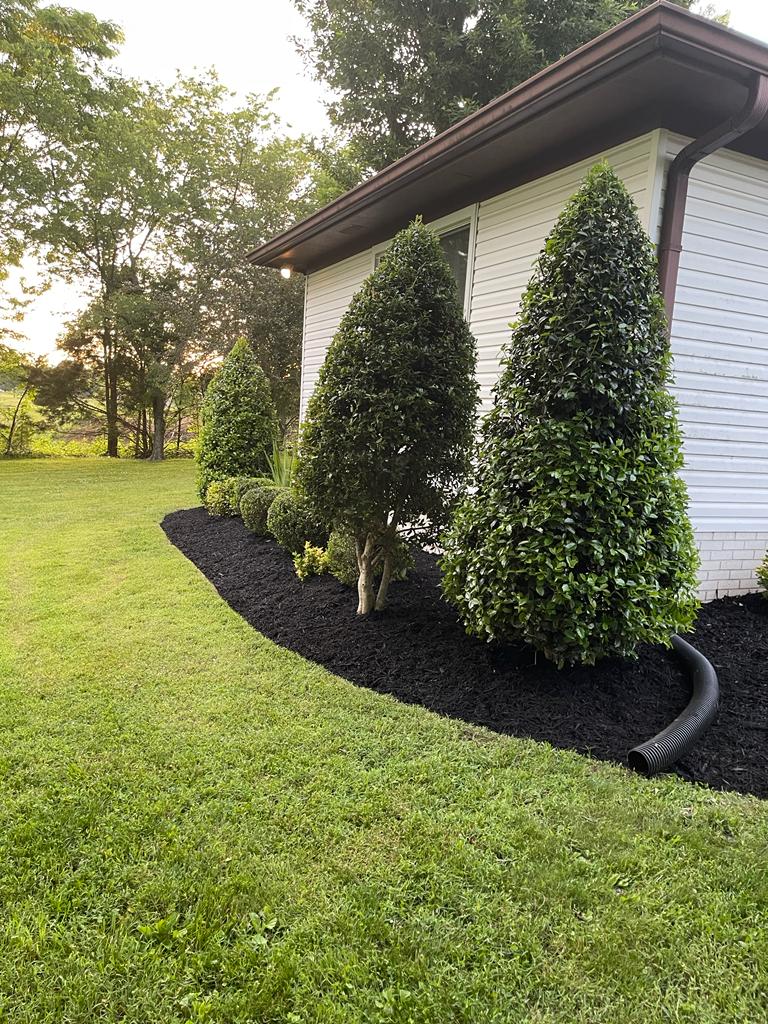 Lawn Care WELCOME To Marcos Lawn Care And Construction Jobs